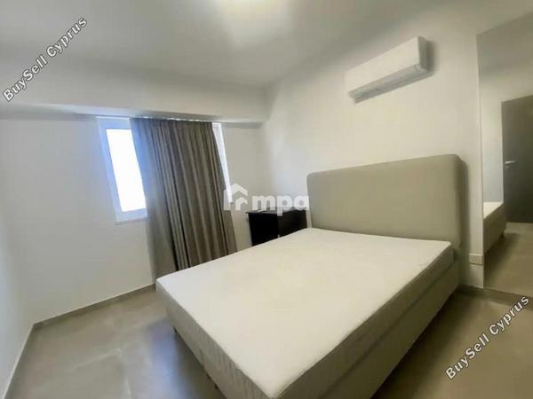 3 bedroom detached house for sale livadia larnacas larnaca 8277196 image 13997485
