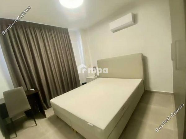 3 bedroom detached house for sale livadia larnacas larnaca 8277196 image 13997486