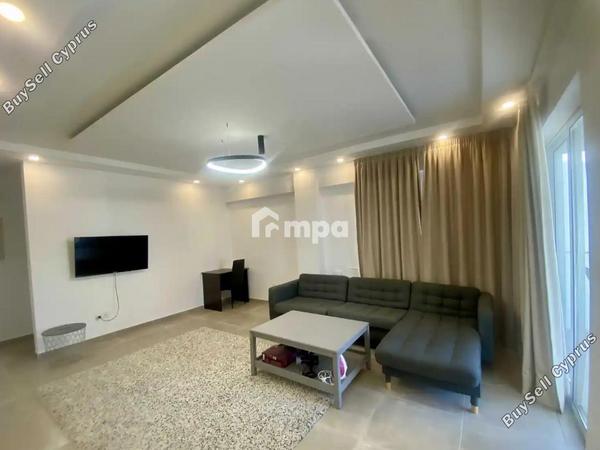 3 bedroom detached house for sale livadia larnacas larnaca 8277196 image 13997492