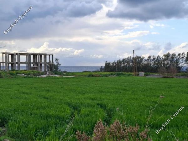 land for sale peyia paphos 1709196 image 4982348