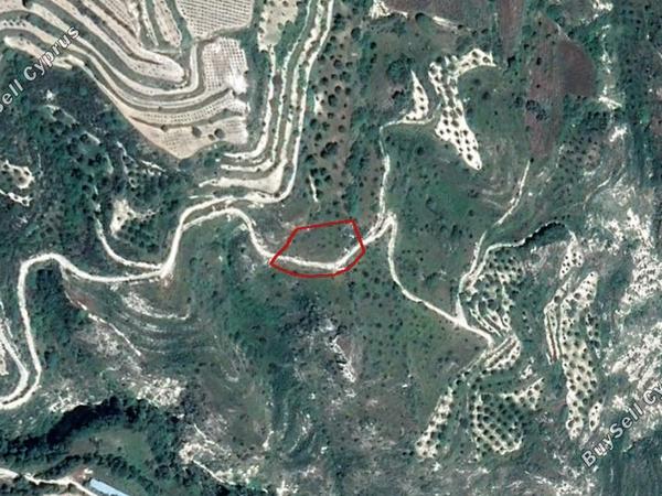 land for sale theletra paphos 828196 image 2807775