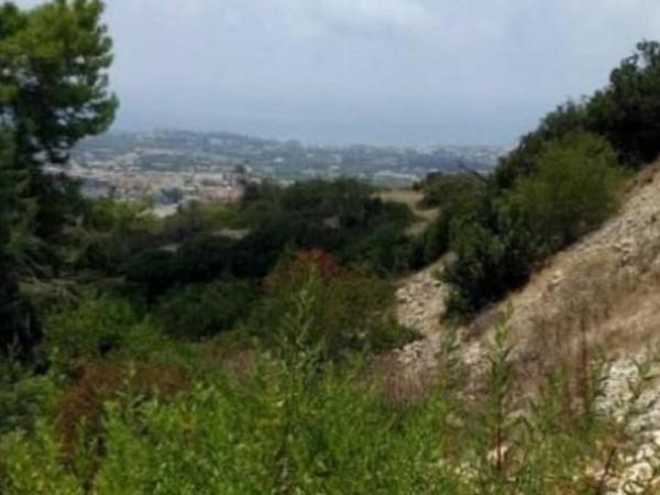 land for sale peyia paphos 8395296 image 14818308