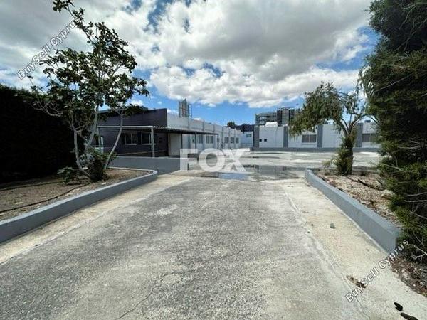 studio commercial building for rent mesa gitonia limassol 1379296 image 6361567