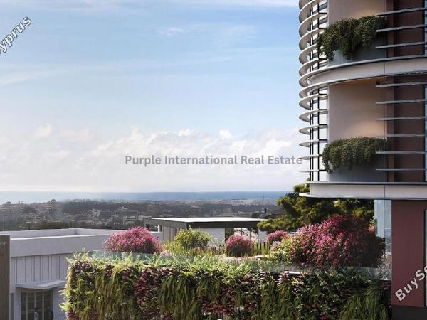 studio office for sale paphos municipality paphos 7546296 image 15555570