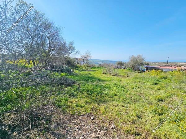 1 bedroom bungalow for sale ineia paphos 1724396 image 4620356