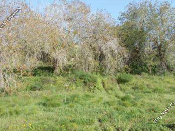 land for sale tremithousa paphos 828396 image 15178155