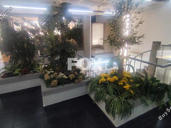 studio office for rent zakaki limassol 8798396 image 16715310