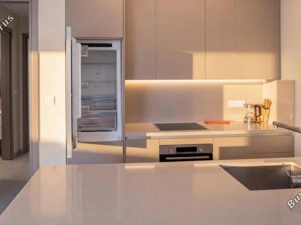 2 bedroom penthouse for rent agios nektarios limassol 8833496 image 17109911