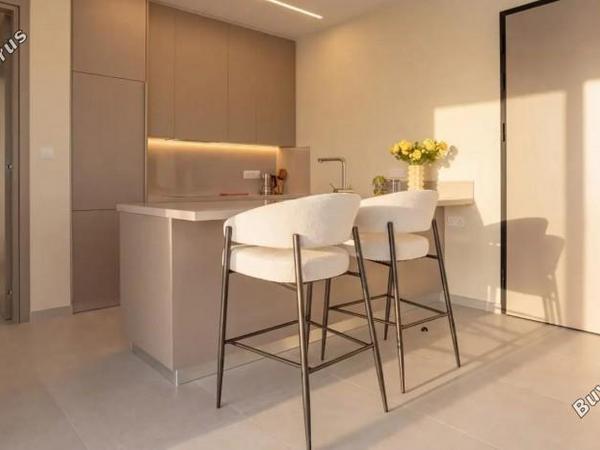 2 bedroom penthouse for rent agios nektarios limassol 8833496 image 17109929