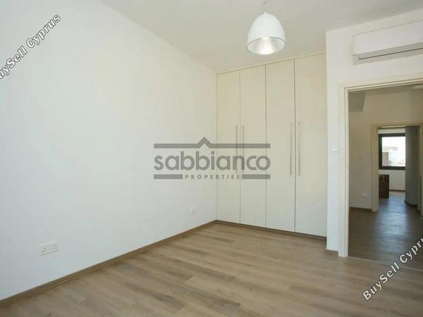 3 bedroom detached house for sale mesogi paphos 8745496 image 16432561