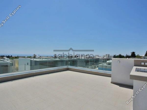 3 bedroom detached house for sale mesogi paphos 8745496 image 16432567