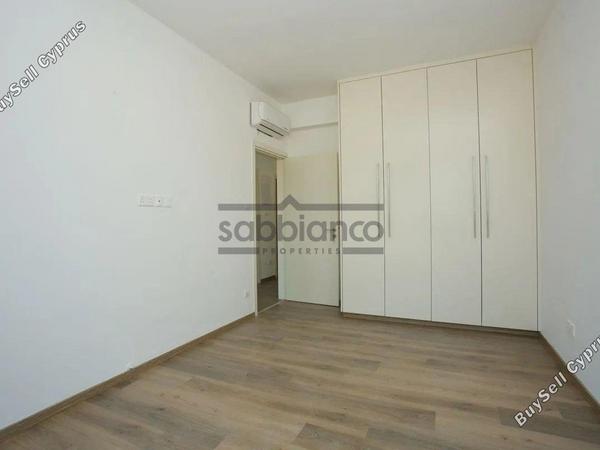 3 bedroom detached house for sale mesogi paphos 8745496 image 16432587