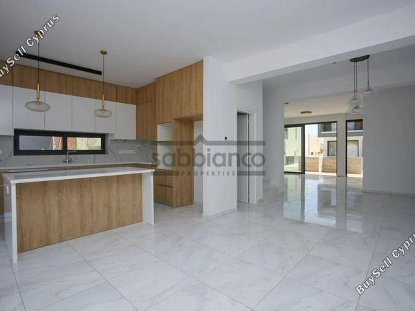 3 bedroom detached house for sale mesogi paphos 8745496 image 16432597