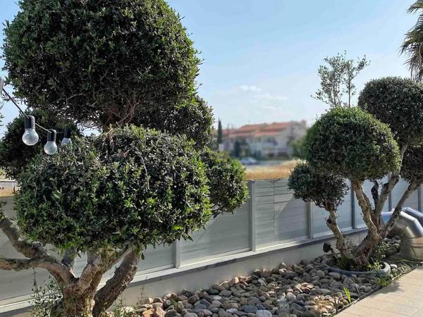 5 bedroom detached house for sale linopetra limassol 1675496 image 11437137