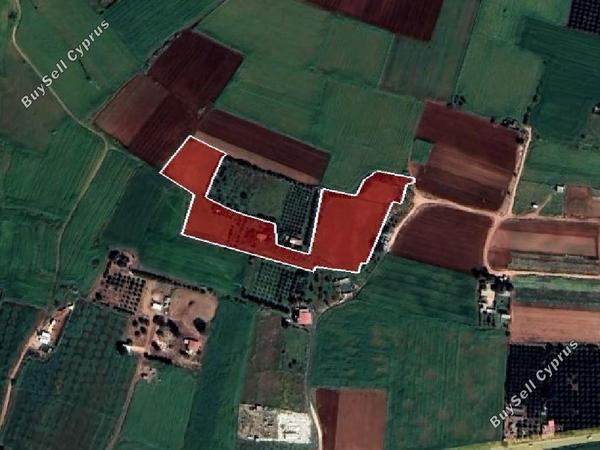 land for sale frenaros famagusta 1041496 image 15603727