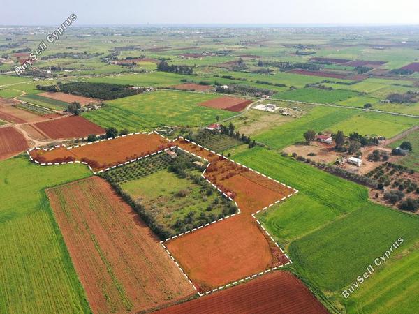 land for sale frenaros famagusta 1041496 image 15603731