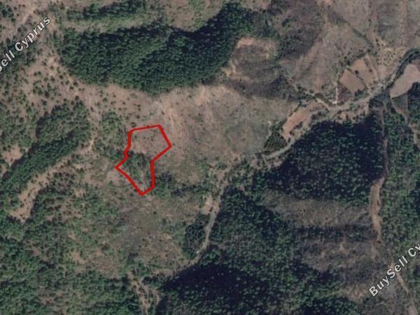 land for sale pigenia nicosia 829496 image 6570320