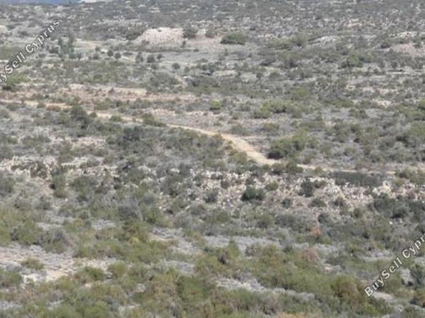 land for sale pissouri limassol 1548496 image 5892739