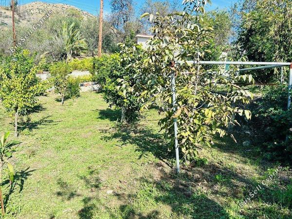 3 bedroom detached house for sale ora larnaca 1683696 image 4396581