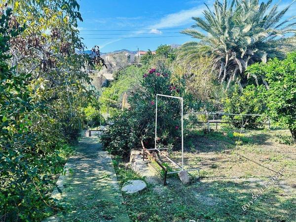 3 bedroom detached house for sale ora larnaca 1683696 image 4396582