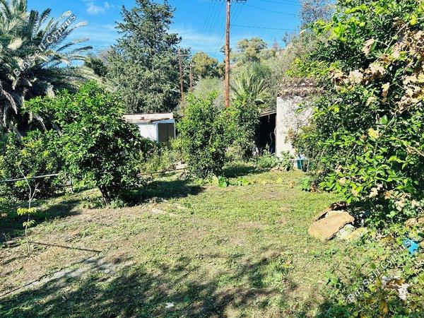 3 bedroom detached house for sale ora larnaca 1683696 image 4396583