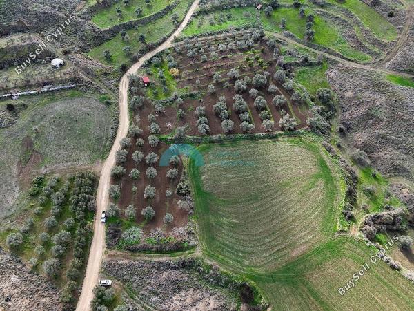 land for sale analiontas nicosia 1938696 image 7669161