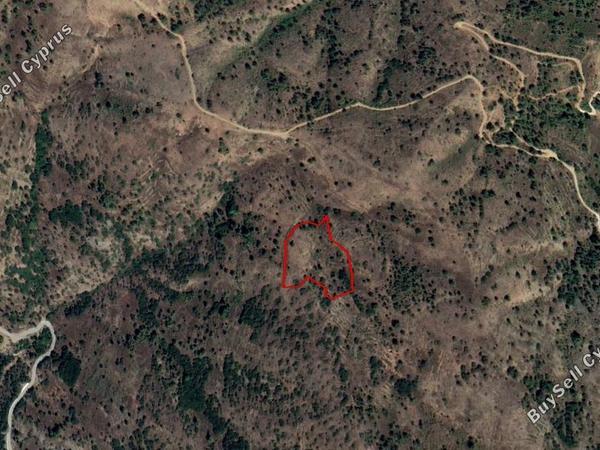 land for sale pedoulas nicosia 880696 image 15664058