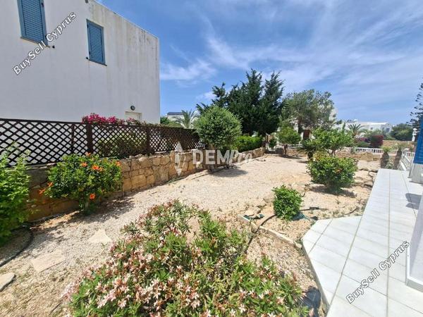 5 bedroom detached house for rent chlorakas paphos 8658796 image 15968904