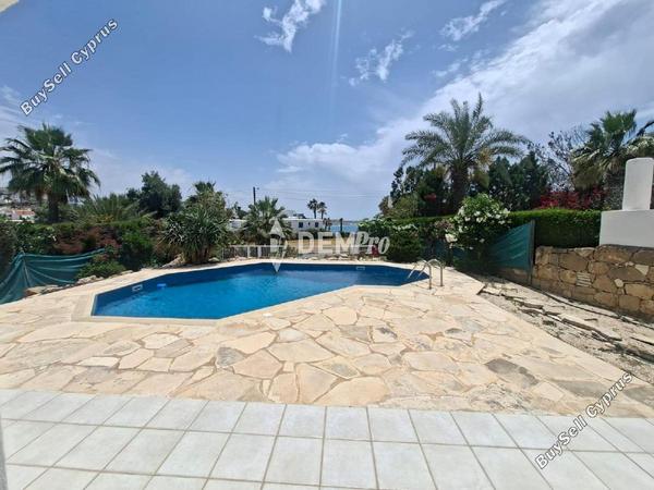 5 bedroom detached house for rent chlorakas paphos 8658796 image 15968909