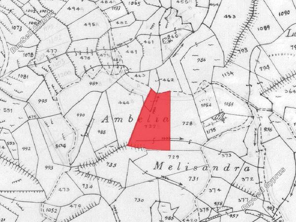 land for sale agios epifanios oreinis nicosia 1465796 image 15598595