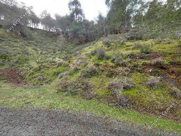 land for sale agios epifanios oreinis nicosia 1465796 image 15598598
