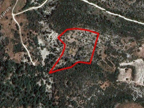 land for sale dora limassol 1194796 image 5570706