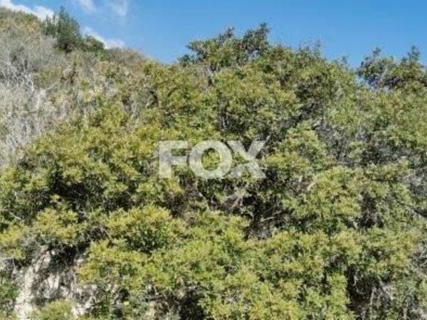 land for sale kapileio limassol 1293796 image 5587595