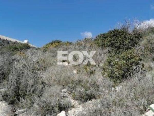 land for sale kapileio limassol 1293796 image 5587600