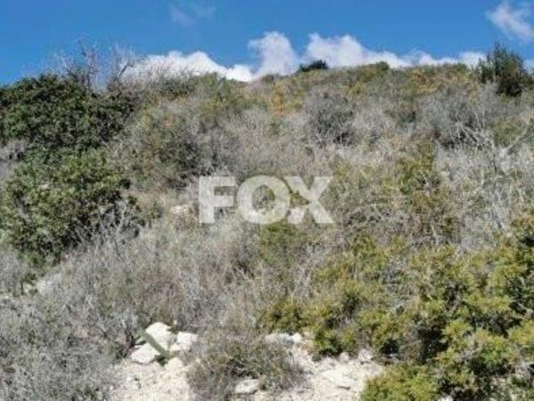 land for sale kapileio limassol 1293796 image 5587602