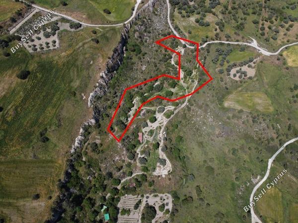 land for sale lasa paphos 839796 image 7332172