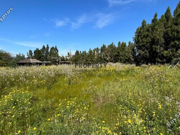 land for sale verengaria limassol limassol 1924796 image 16552950