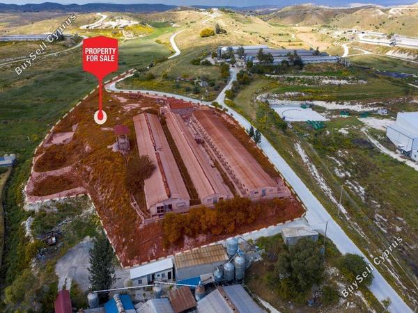 studio warehouse for sale aradippou larnaca 822796 image 670862