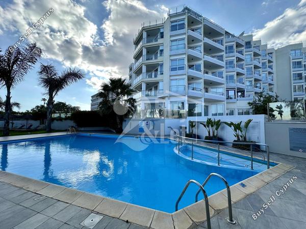 1 bedroom apartment for rent potamos germasogeias limassol 8598896 image 16343383