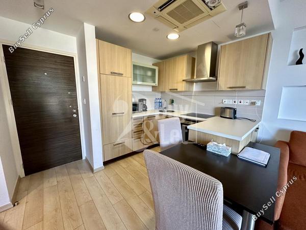 1 bedroom apartment for rent potamos germasogeias limassol 8598896 image 16343389