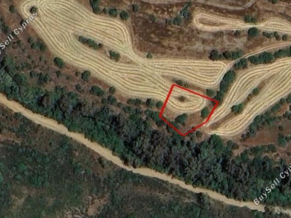 land for sale akapnou limassol 7912896 image 11165955