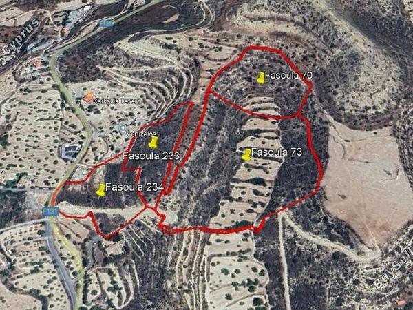 land for sale fasoula lemesou limassol 8174896 image 13552156