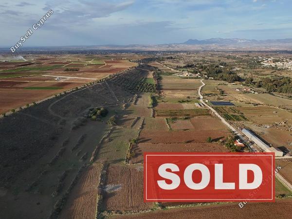 land sold orounta nicosia 945896 image 12836074