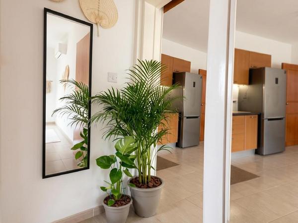 1 bedroom apartment for sale geroskipou paphos 8620996 image 16044927