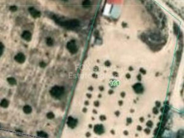 land for sale alaminos larnaca 1594996 image 5792951