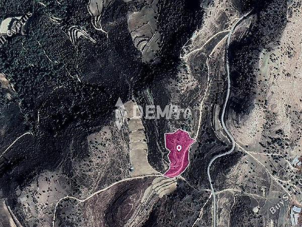 land for sale mousere paphos 7812996 image 10644400