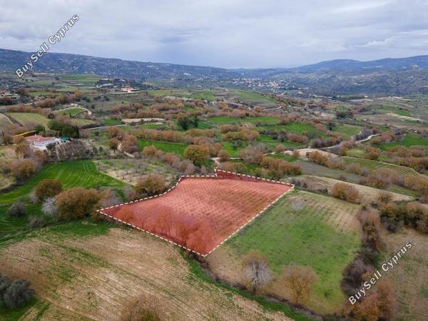 land for sale stroumbi paphos 8531996 image 17043554