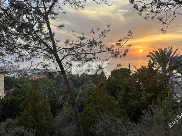 plot for sale saint george peyia paphos 7962007 image 14979691
