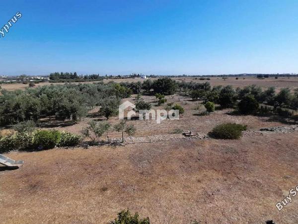 4 bedroom detached house for sale pera orinis nicosia 1730107 image 5554180