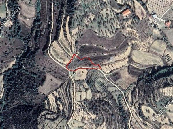 land for sale kallepeia paphos 828107 image 15177623